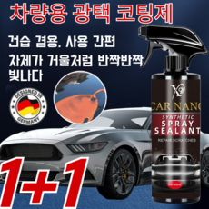 Rayhong 저분자플러머코팅제 나노 스프레이 코팅제 방수코팅제 페인트케어 500ml, (1+1병) [500ml-나노 스프레이 코팅제]