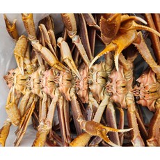 [겨울맞이 할인행사] 해저도시 러시아산 직수입 박달대게 러시아대게 대왕박달대게 대왕대게 대게찜 대게시세 대게가격 고수율 대게다리 효도선물 몸보신 홈파티, 1개, 1마리 0.8~1.0kg 찜