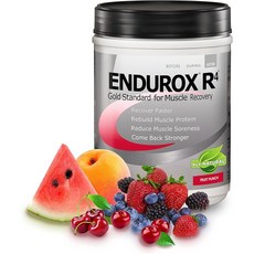 Endurox R4 운동후 회복 보충제 1.04kg 근육회복 스포츠 영양제, Tangy Orange