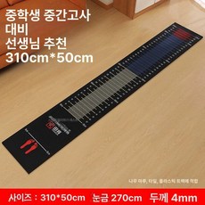 소르베어 제자리멀리뛰기 육상 운동회 측정기 체육, 1개, 교사 추천 초중고등학생용 310x50cm B