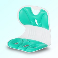 보조 체어 등받이 허리받침 접이식 좌식의자OB192273, 본상품선택, 기본형 블랙
