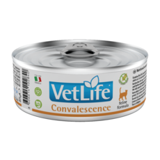 Farmina VetLife 貓用高營養照護配方罐頭, 1個, 貓用高營養照護配方85g, 85g, 室內的