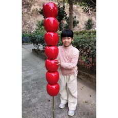 대형탕후루모형 전시용 매장 1m 업소 진열 모조 선반 귤 음식 선물 약, D. 7개(직경18cmx길이1.55m)