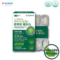 영진약품 기억력 혈행 엔 징코플러스 은행잎추출물 7중복합기능, 1개