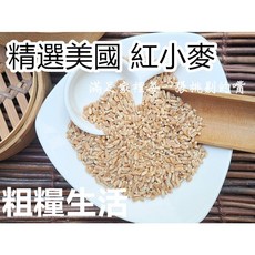 精選美國 紅小麥 /小麥 五穀雜糧 夾鏈袋真空包裝 天然穀香 X 純粹原味~ 【沖泡穀粉小舖】, 1個, 300g