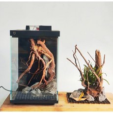 二代魚缸造景 一體骨架設計 入缸即可拿取方便 水族造景裝飾, 1個