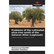 (영문도서) Problems of the cultivated olive tree south of the Saharan Atlas (Laghouat) Paperback, Our Knowledge Publishing, English, 9786208393991