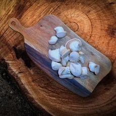 산지직송 무농약 미니 설원버섯 3kg, 1개, 3