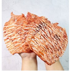 철판구이 몸통 오징어 7~14미 200g, 14개, 200