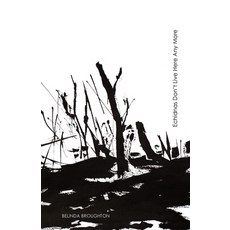 (영문도서) Echidnas Don't Live Here Any More: Poems of loss and recovery since the Black Summer bushfires Paperback, Ginninderra Press, English, 9781761093449