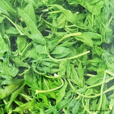 대관령 자연에서 채취하여 데친 산나물 엄나무 순 오가피 취나물 알고보니 진짜배기 입니다. 4월20일 출하 예정, 엄나무 순 삶은나물, 1개, 300g