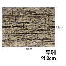 비바리움 백스크린 도마뱀 사육장 장식 탄화코르크, 1개, A