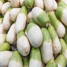 CS0% 청담농수산 제주도 세척 월동무 혼합과, 1개, 2kg 내외 (정품)