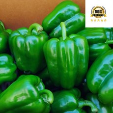 국내산 청피망 특품, 1개, 청피망 특품 5kg