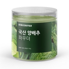 신서리티 국산 양배추 파우더, 1개, 100g