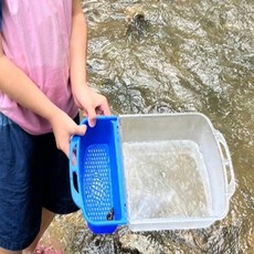 BrtWM 물놀이용 학습놀이 가재채집 채집놀이 다슬기 채집통 대