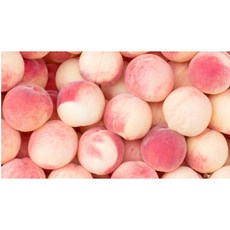 비누야놀자 복숭아 프래그런스 오일 10ml 비누만들기 재료 천연, 1개