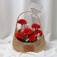 수비니샵 비누꽃 카네이션 꽃바구니 어버이날 스승의날 선물 꽃다발, 레드, 1개