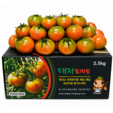 [마지막특가] 시즌종료행사 대저토마토 짭짤이, 1박스, 2.5kg (L)