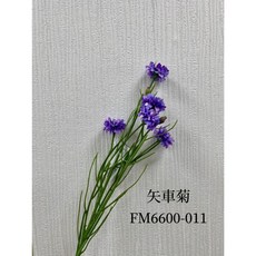 花藝夢*日本東京堂 擬真花 乾燥花 人造花 不凋花 乾燥花材 高品質, 矢車菊FM6600-011