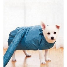 위피 펫 드라이슈트 드라이룸 강아지 고양이 목욕, 1개, 블루M(5~10kg)
