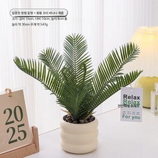 미니 인조 화분 세트 다용도 데스크 가성비 책장 인테리어 식물 촬영 소품, 1개, 22_봉황꼬리 바나나 미포함