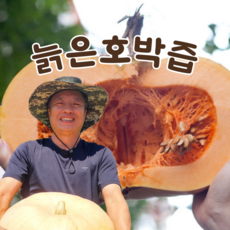 셋째딸농부 늙은호박즙원액 맷돌 100% 무첨가 액기스 호박즙, 53개, 100ml