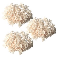 ROMANTIC NOVEMBER 保鮮繡球花 3P, 象牙