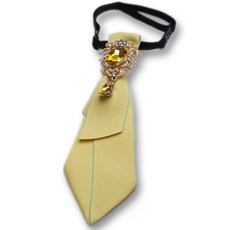 하이유니 [긱시크룩] 서머셋 브로치포인트 패션 클립 넥타이