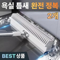 다니즈 다닦아 틈새 밀대 스퀴지 청소솔 욕실 베란다, 2개, 퓨어화이트