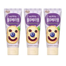 복음자리 짜먹는잼 블루베리잼 3개, 100g