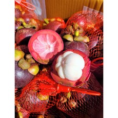 태국 생 망고스틴 생과 500g 1kg, 1개, 망고스틴500g(5-7과)