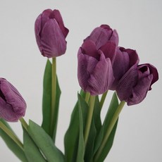 아이뉴 인테리어 조화 장미 튤립 감성 5송이 1개, 스탠다드 튤립 보라색