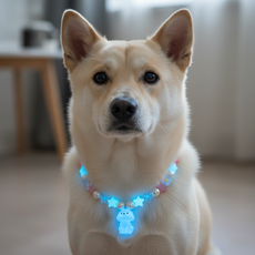 베라킴 반려견 반려묘 야광방울목걸이, 1개, 블루