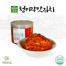 100%우리농산물 사용 국내산 PET 맛김치, 500g, 1개
