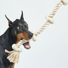 LuckyPetter 大型犬拉扯遊戲玩具, 米色