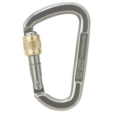 Austrialpin D ASYMM 不銹鋼手動鎖鉤環，D型設計，輕量易攜帶，安全可靠，適用於攀岩登山, 1個