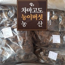 [차마고도농산] (업소용)(전문점용) 자연산 최상품 건조 능이버섯 1kg, 1개