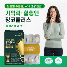 기억력 혈행 징코 플러스 은행잎추출물 나이아신 아연 판토텐산 비타민B군, 2박스
