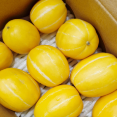 국내산 성주참외 산지직송 특품 선물용 가정용 주스용 쥬스용 못난이참외 2키로, 1박스, 성주참외 소과 2kg (5/9과)