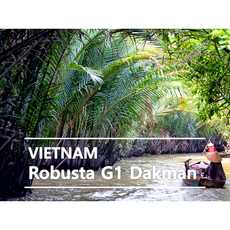 어라운드트레이딩 베트남 로부스타 생두, 1kg, 1개