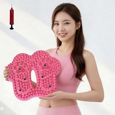 홈프로 무소음 에어 지압 스텝퍼 가정용 홈트 기구, 블루