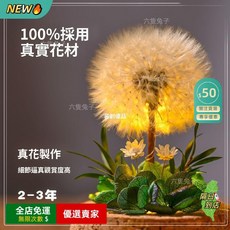 A15 永生乾花蒲公英標本 創意桌面擺件 永生花玻璃罩 情人節生日禮物, 夜燈款-漸變綠色-蒲公英,簡裝【無禮盒賀卡手提袋】