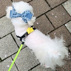 애견 필수템! 강아지 리본 머리띠 청 패치 2종 이어슈슈(귀 통풍 효과에 패션까지 챙기세요), 1개, 연청패치