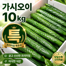 당일경매 국내산 가시오이 신선한 오이 경매후바로발송 무침용 생식용 가정용, 1박스, 하10kg