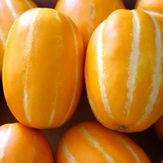 기타 가정용 성주참외 로얄과 2kg(4-10과 내외), 1박스, 2kg