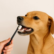 프랑키 상점 펫프랜 초미세 만모 칫솔 블랙 고양이양치 반려동물 검정색