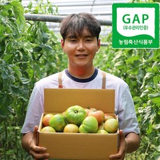 [상위1%생산자직송] 국내산 동양종 완숙 찰토마토, 1박스, 4.5kg