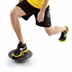 밸런스 보드 블랙 엉덩이근육운동, 써클 밸런스보드(블랙앤센터컬러)