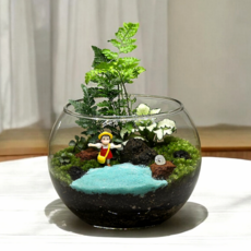 지향샵 메이 소녀 이끼테라리움 만들기 키트 해변위의 외딴섬 B, 1개